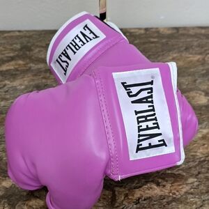 Everlast Women’s 12 oz Pink Boxing Training Gloves – Advanced Training